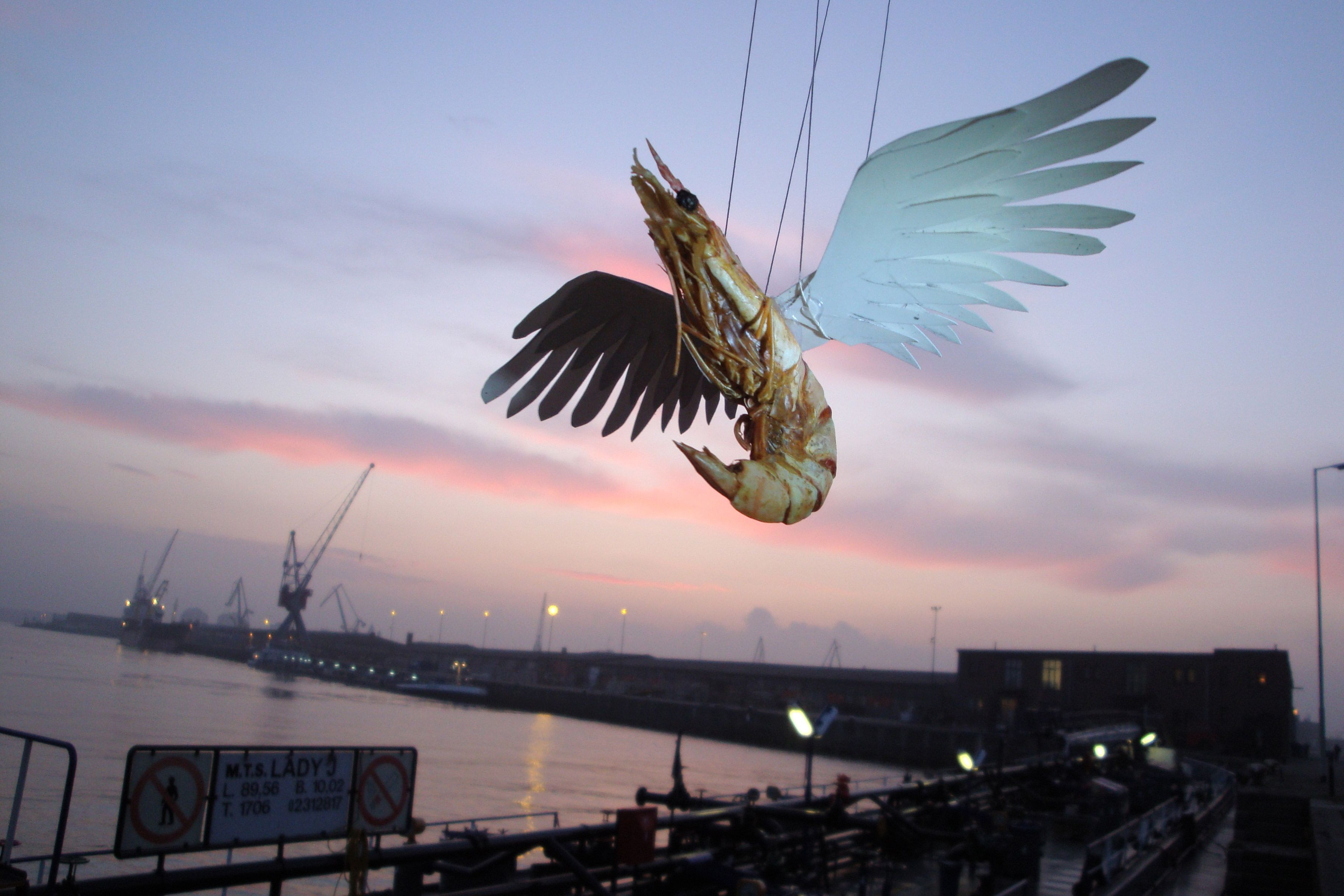 Hotel_modern_shrimp_tales_foto_pauline_kalker
