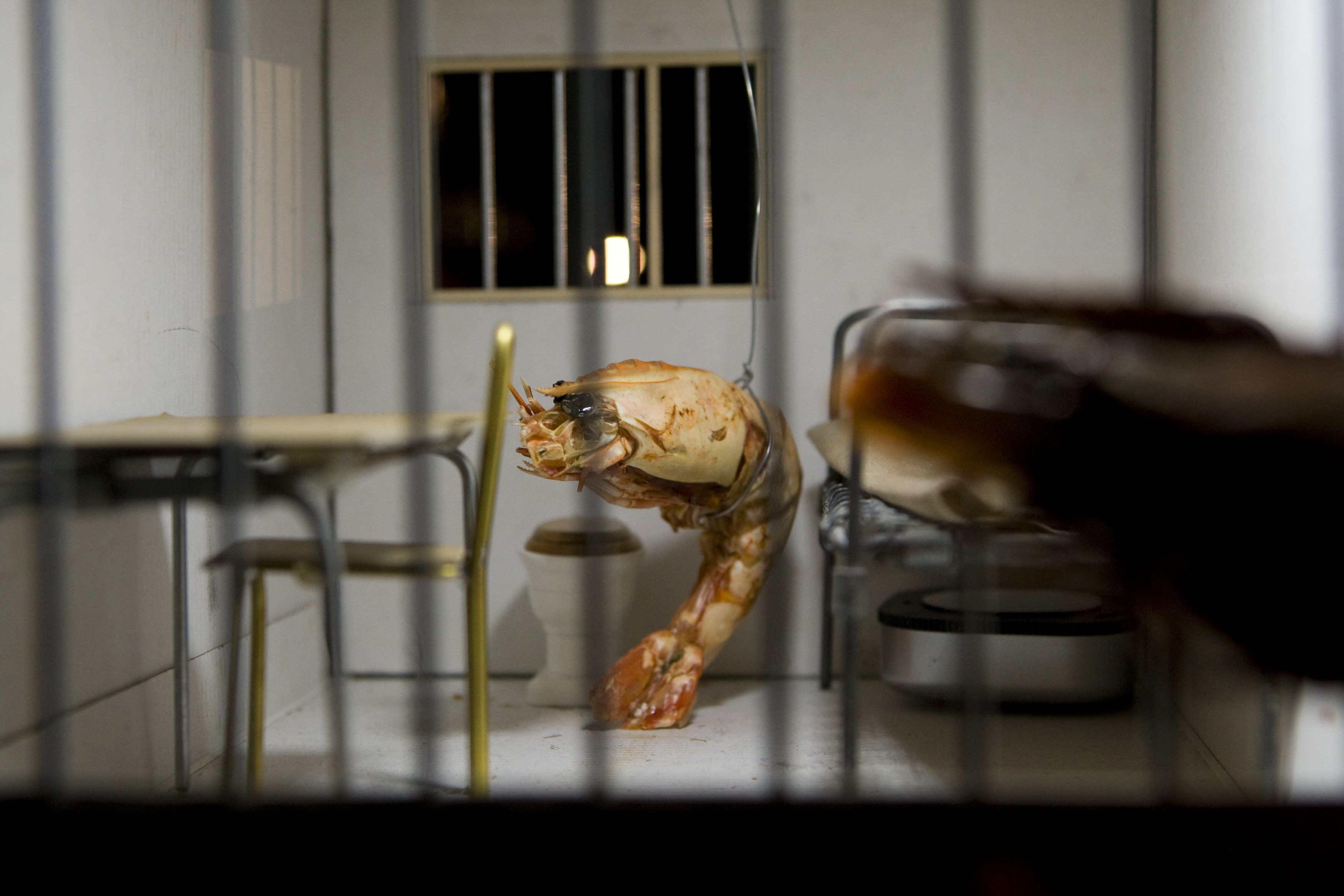 Hotel_modern_shrimp_tales_5_foto_leo_van_velzen