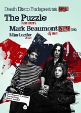 Ddpuzzledecsm