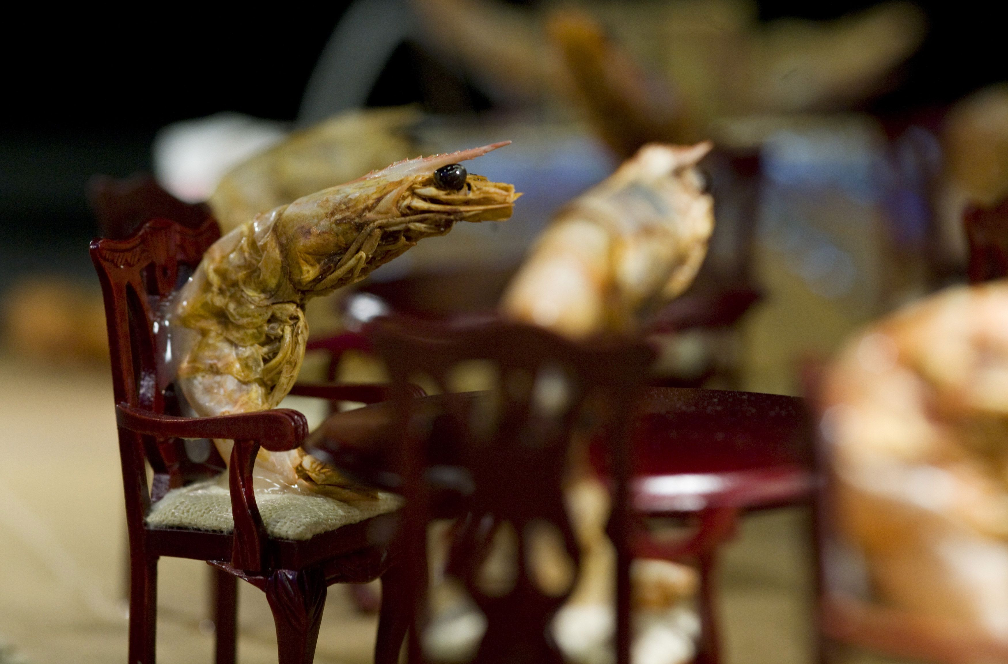Hotel_modern_shrimp_tales_foto_leo_van_velzen
