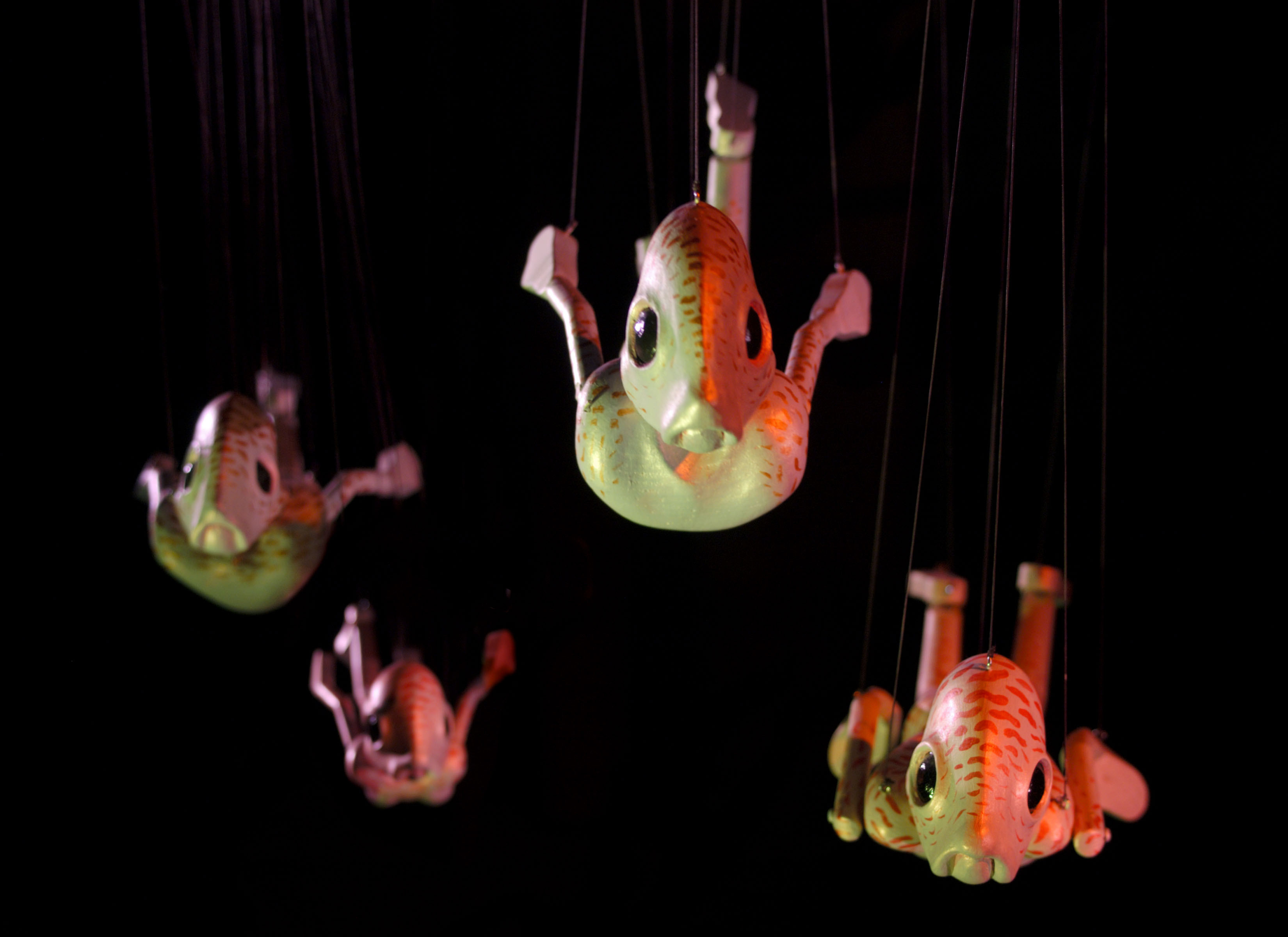 Shoal-medium