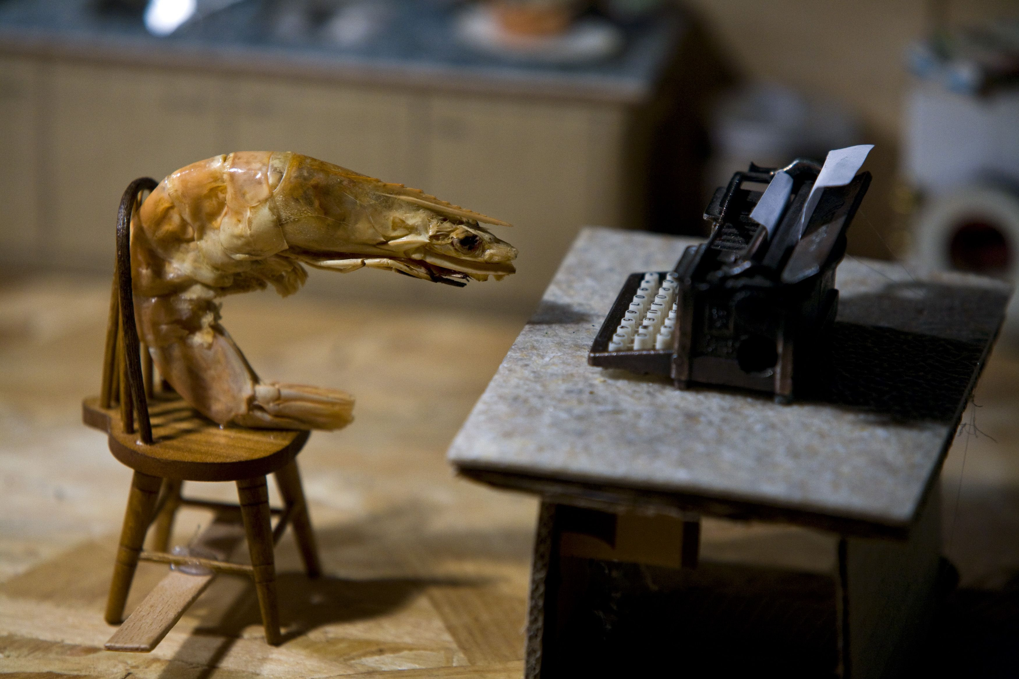 Hotel_modern_shrimp_tales_8_foto_leo_van_velzen