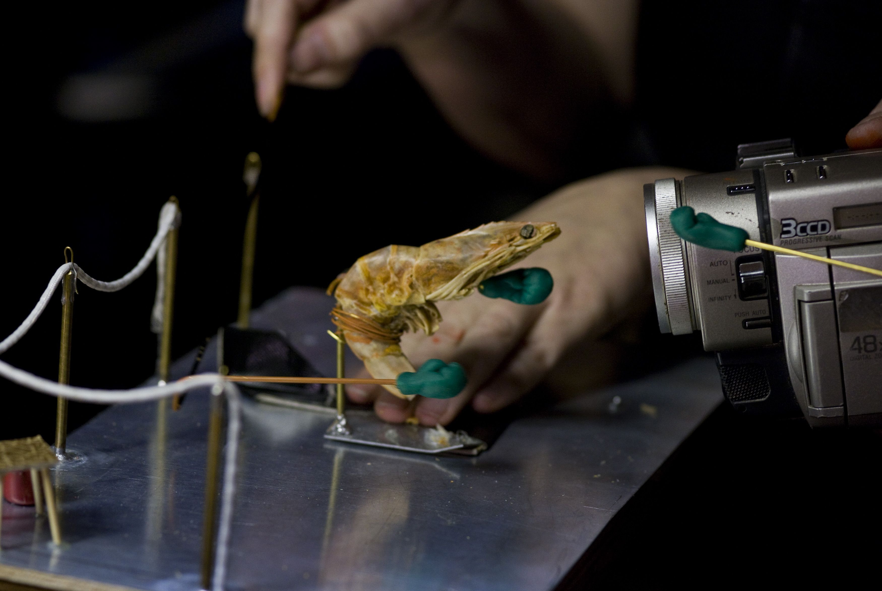 Hotel_modern_shrimp_tales_7_foto_leo_van_velzen